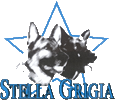 Stella Grigia: la scuola e l'indice dei siti
